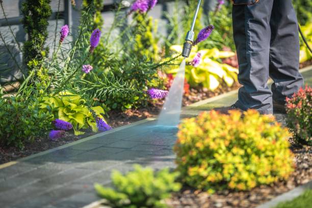 Best Patio and Deck Pressure Washing  in Uniondale, NY